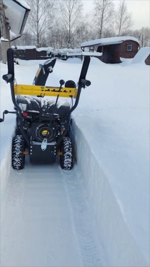 шашлычок и баня на даче, говорили они, будет весело говорили они.