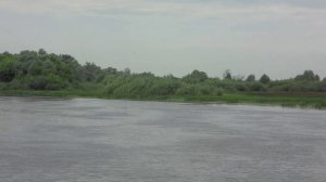 БЕЛООМУТ (песня на стихи Андрея Бабыкина, исполнитель: Suno AI music)