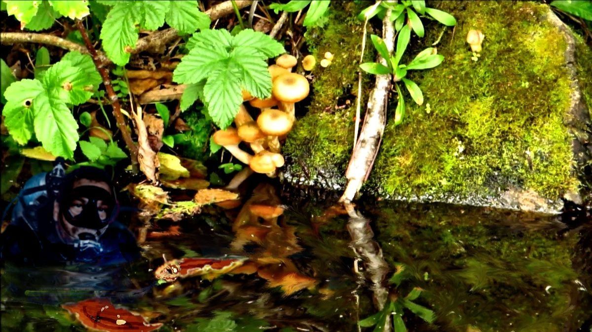 Дождь, река, осень... смотреть онлайн