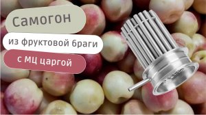 Самогон из фруктов с использованием МЦ царги