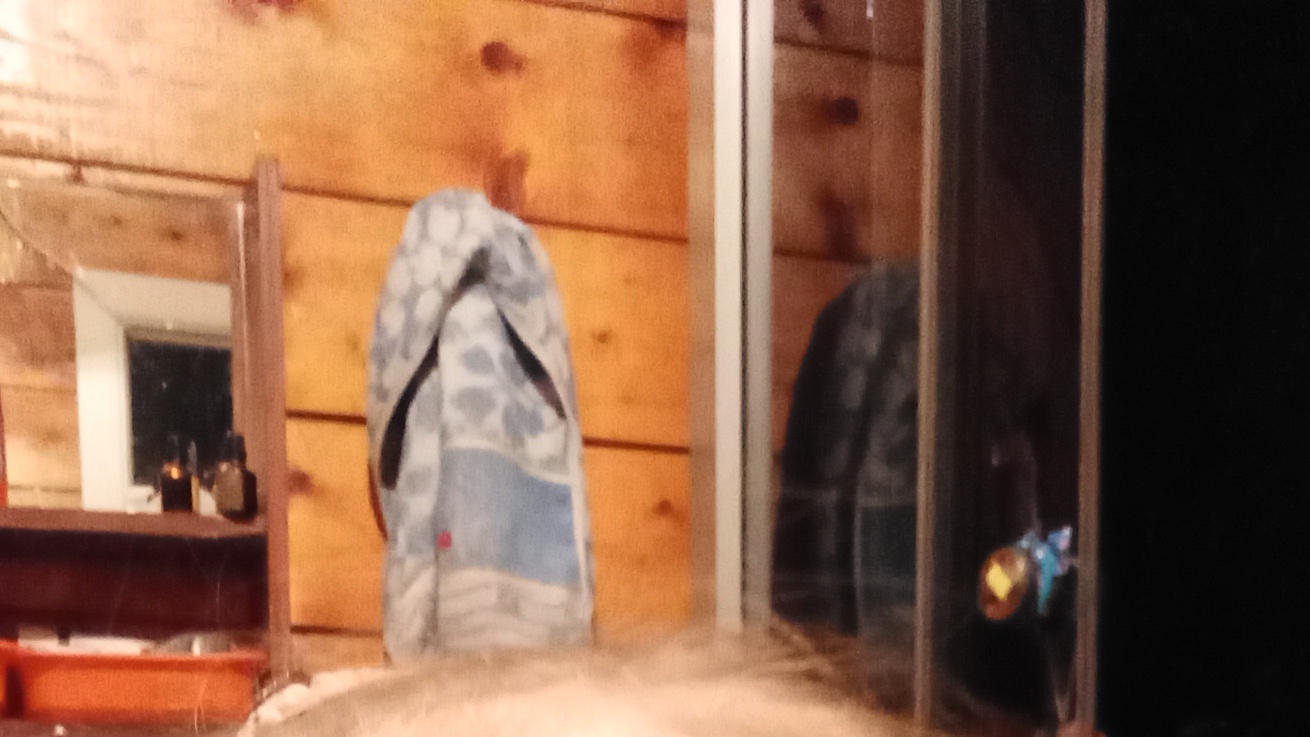 батон кот получил 2-🤬 смотреть онлайн