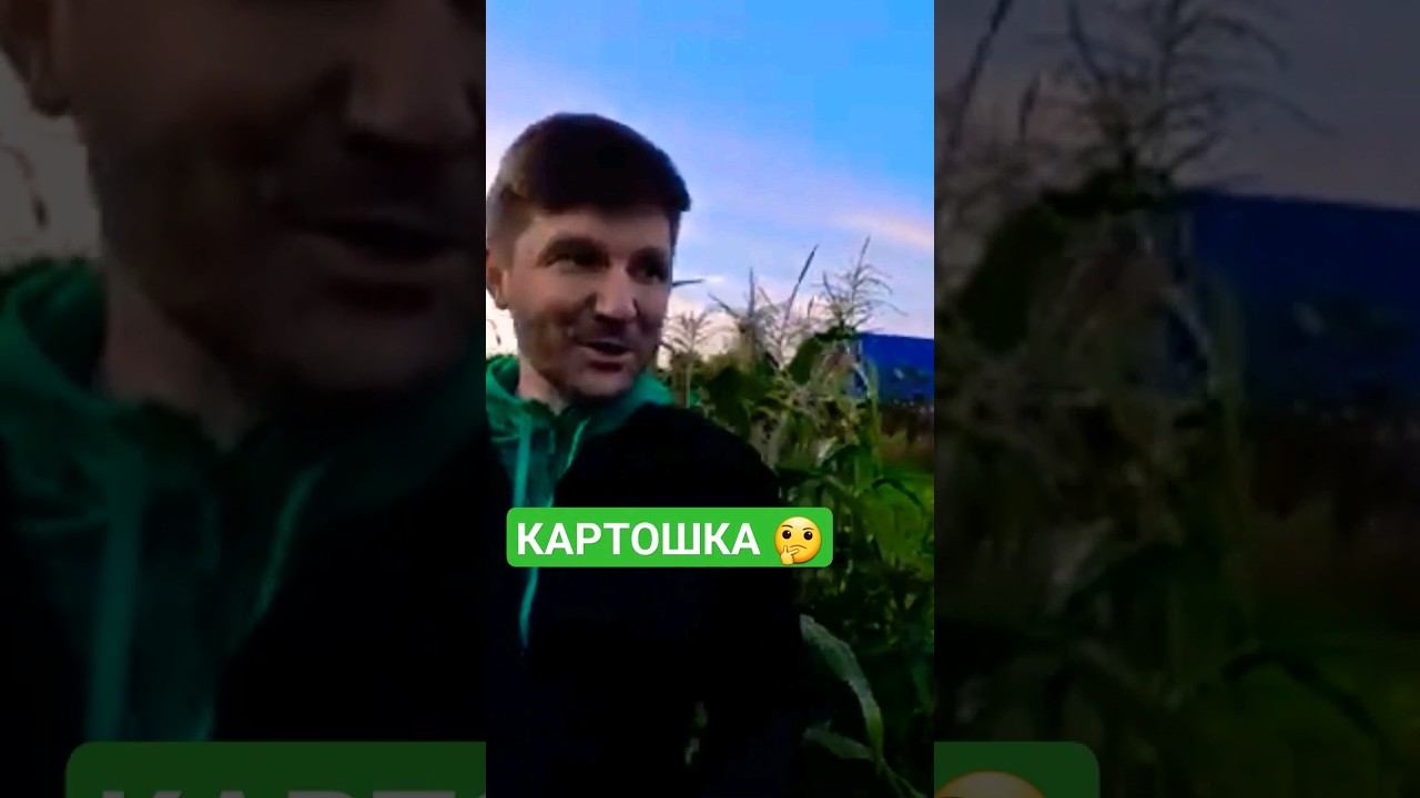 ЗАБРОСИЛ ОГОРОД НА МЕСЯЦ...УРОЖАЯ КАРТОШКИ и КУКУРУЗЫ НЕ БУДЕТ??? #дача #деревня #огород #картофель