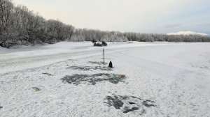 КАМЧАТКА  - Рыбацкий рай   #8  Наедине с Камчатскими монстрами