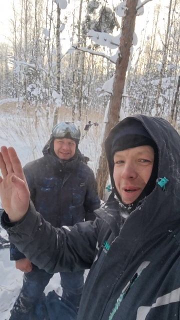 застряли в болоте!