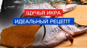 ИКРА ЩУКИ! ВКУСНЕЙШИЙ,  ПРОВЕРЕННЫЙ РЕЦЕПТ!