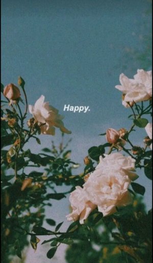 можно всемчик﹥3(опис не обез)