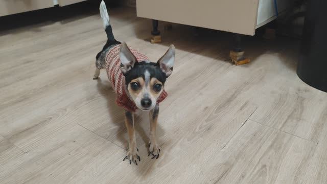 MB SPRINTER 519 ТРАНСПОРТЕЙШН Ч.16 ТУЛА - МОСКВА смотреть онлайн