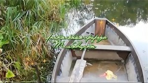 Путешествие по Тамбовщине. #уникалнаяприрода #Казинский_лесозавод #леса_тамбовской_области