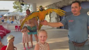 Путешествие с детьми в Турцию. 🇹🇷 2025г. Отель Sueno Hotels Beach Side.