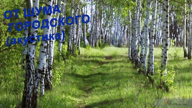 ОТ ШУМА ГОРОДСКОГО (акустика) - Жанна Вишнякова Арс смотреть онлайн