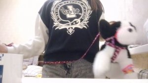 я новый пдб