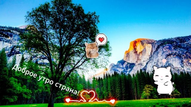 0131 (1)(1) смотреть онлайн