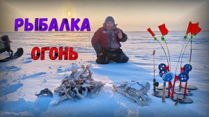 Славная рыбалка конец  Января 26  новое озеро.