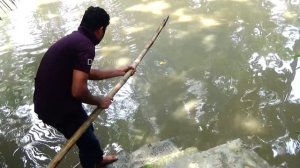 ЛОВЛЯ КРУПНОГО СОМА