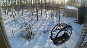 Товарищ Воробей. Капитан Товарищ Воробей наводит суету!