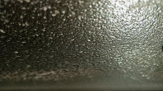 24 января 2026 - Видео Дневник. МОЙКА МАШИНЫ