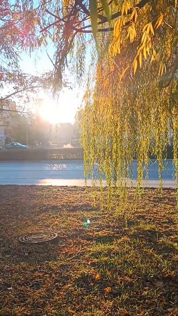 Из осенних зарисовок...