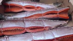 Форель спинка провесная