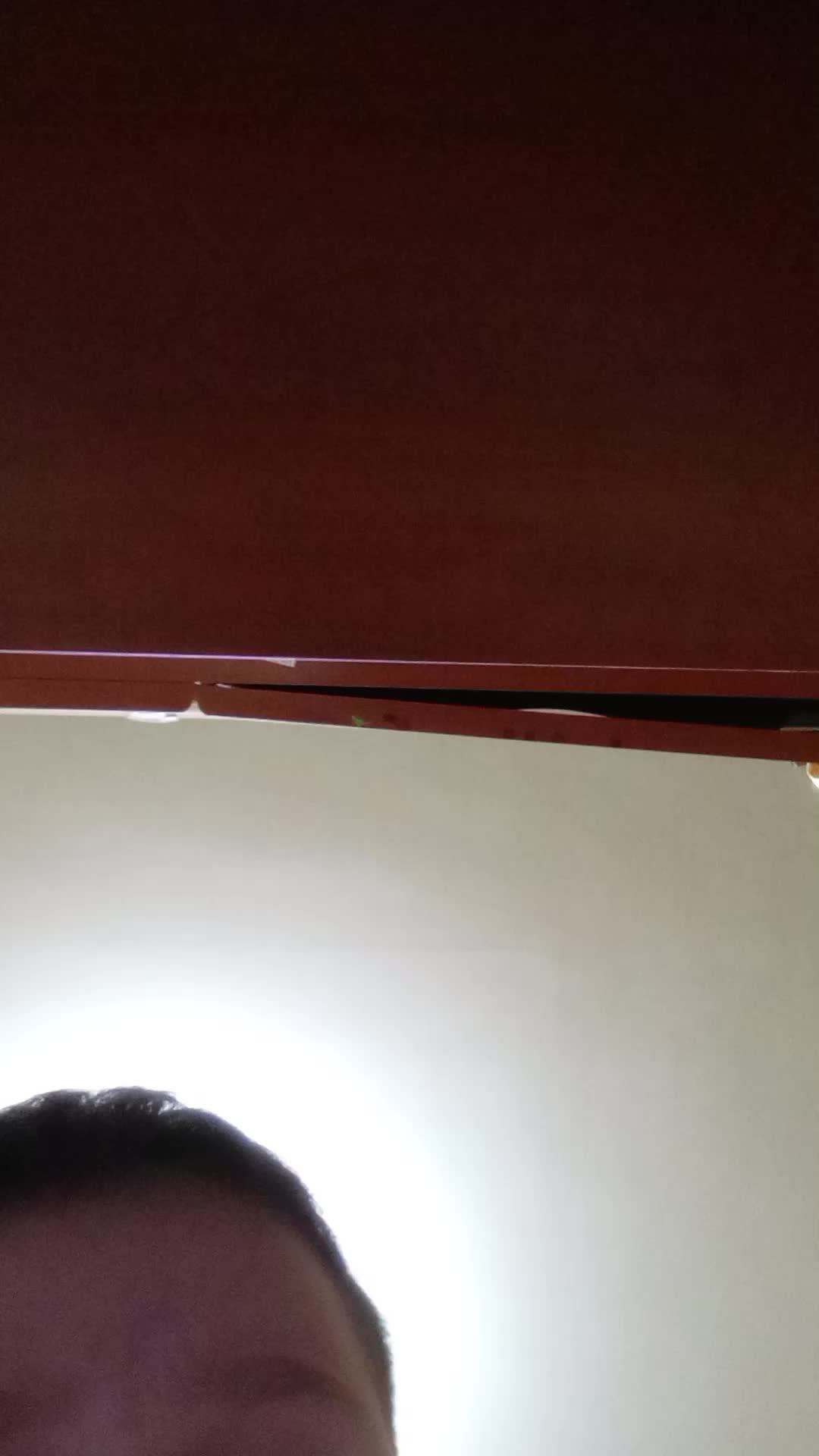 делаю Лунтика икс и остальных из русакена смотреть онлайн