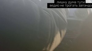 цыганская песня 2026 ведио не трогать