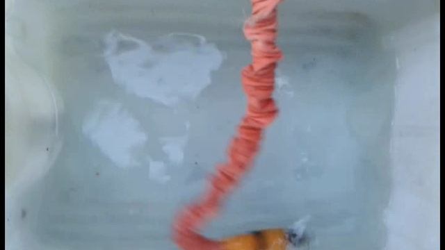 Шланг решил поплясать..))