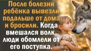 Истории из жизни. Под старой елью. Жизнь сильнее зла