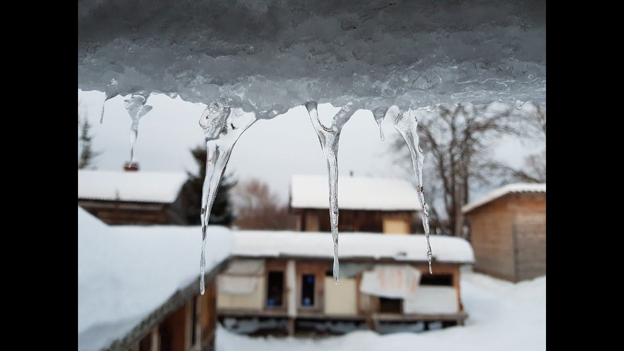 Любимые животные/Синички/Приехали за водой/Жизнь в деревне смотреть онлайн