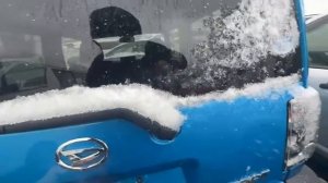 Daihatsu Taft 2020 год 4WD