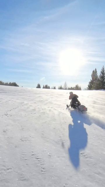 Снегоход Сталкер реально маневренный? смотреть онлайн