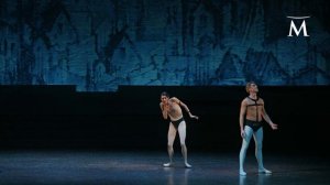 Собор Парижской Богоматери. Михайловский театр.