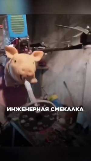 СВО👉ЖМИ (КАДРЫ 21+)👈