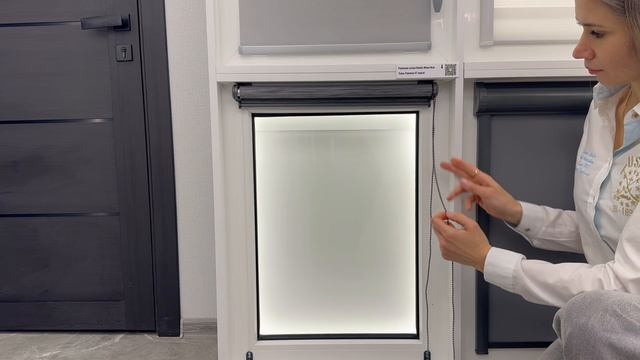 Рулонная штора день-ночь