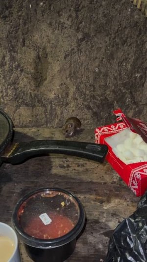 СВО👉ЖМИ (КАДРЫ 21+)👈