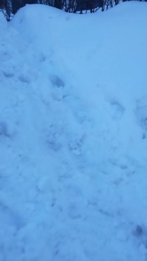 Паркур!Приколы🤣