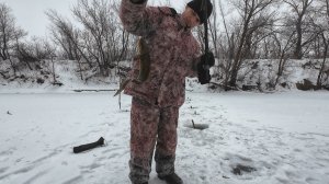 Налим на живца зимой. 7 сезон. 4 серия. (Проверка крючков на налима 31 января 2026)