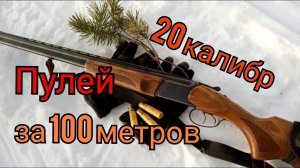 20 калибр Пулей за 100 метров