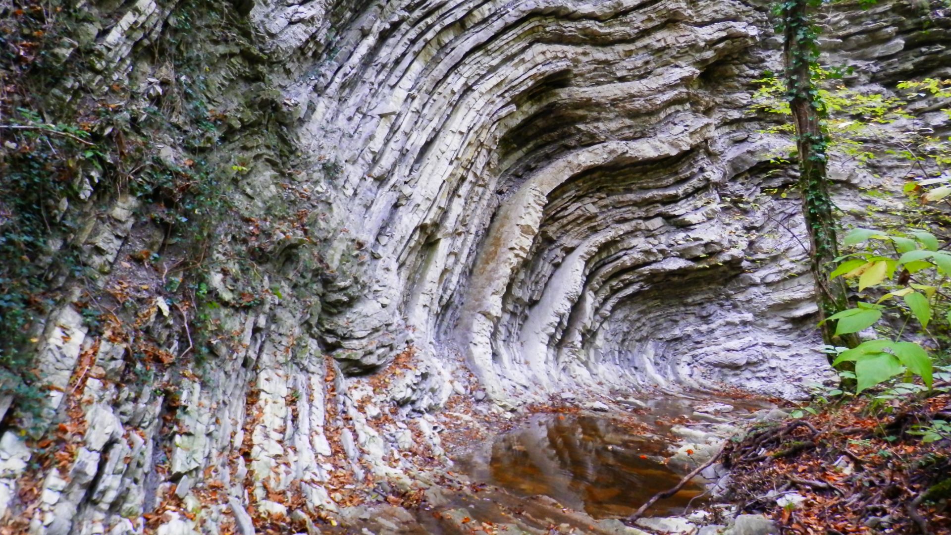 Путешествие в Сочи. Старинная лестница в верховьях реки Хаджиек. смотреть онлайн