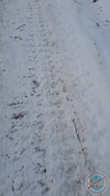 Если чёрная кошка перешла дорогу