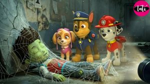 Щенячий патруль и Маршалл. Залипательное видео. Мультфильм для детей и малышей. Анимация 160