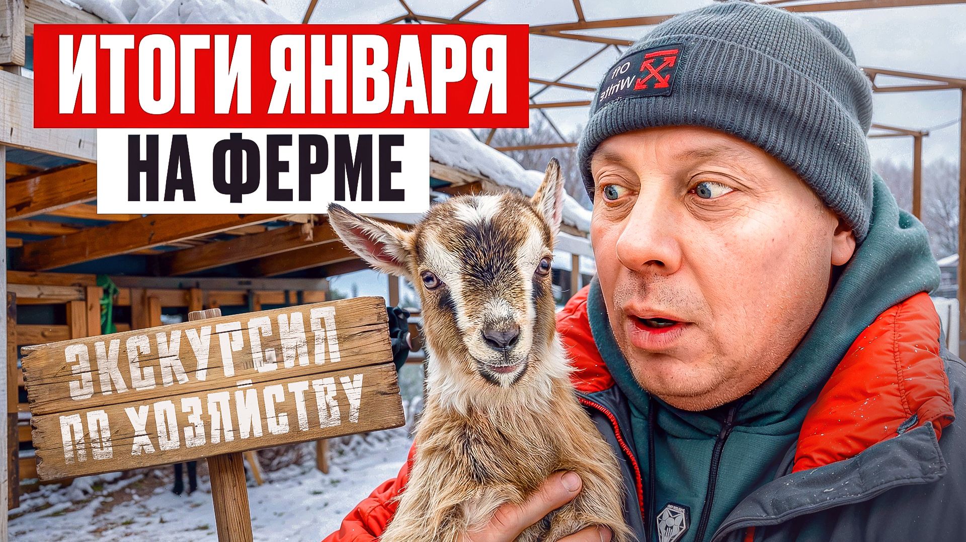 КАК МЫ ПЕРЕЖИЛИ ЯНВАРЬ? ВСЁ ИЗМЕНИЛОСЬ! Большой обзор фермы: ягнята, перестройка сарая, новые жильцы