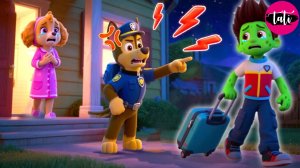 Щенячий патруль и Маршалл. Залипательное видео. Мультфильм для детей и малышей. Анимация 159