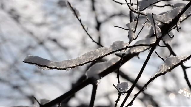 Зимние пейзажи