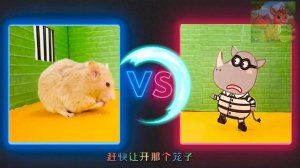 Маленького хомячка издеваются в тюрьме; побег — единственный выход из его страданий!