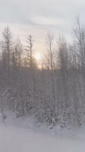 В дороге. смотреть онлайн