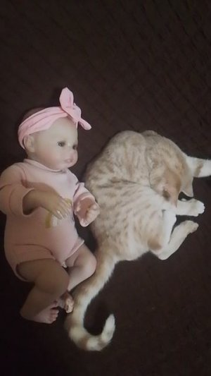 эмили и тёма