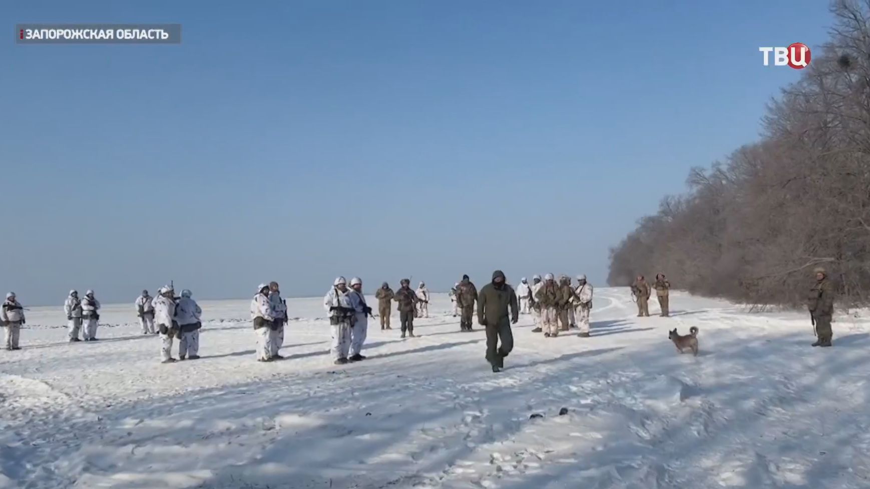 Российские войска стремительно приближаются к Запорожью смотреть онлайн