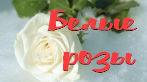 Достойное исполнение! Миньков Сергей - Белые Розы - 20 лет спустя в новом качестве