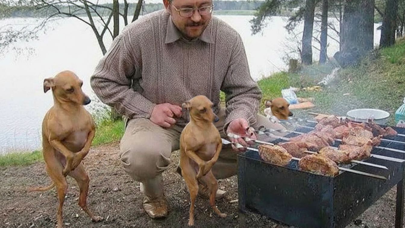 Пытался объяснить собаке, что зарплата ушла на её корм. Она ответила требованием курицы» 💸