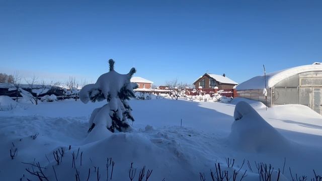 31-01-2026 Зима, снег, мороз и солнце смотреть онлайн