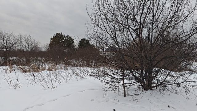 11318.mp4 смотреть онлайн